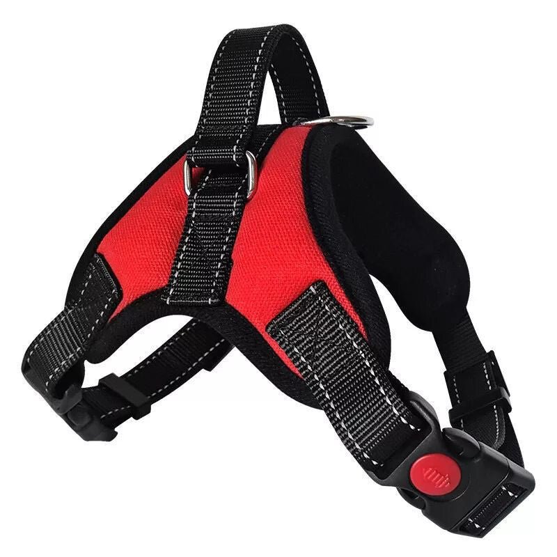 DEKO Piros Kutyahám - L - es Méretű Tartós Kutyanyakörv - BShopy