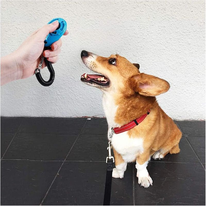 LZGOPE Kutyás Clicker Csuklóra Akasztós, 5 Db - Narancssára, Citromsárga, Piros, Kék, Fekete - BShopy