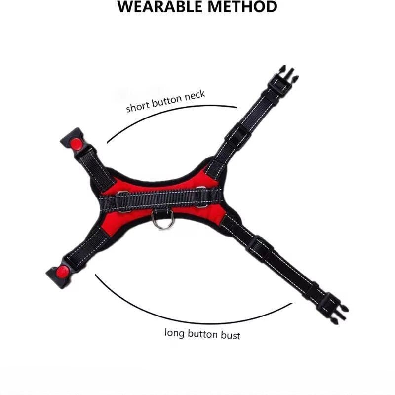 DEKO Piros Kutyahám - L - es Méretű Tartós Kutyanyakörv - BShopy