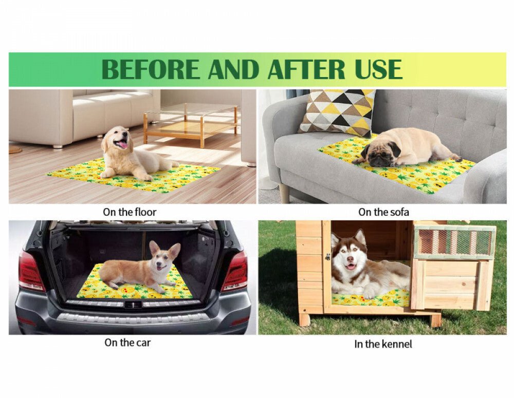 Furrybaby Ananászmintás Hűsítő Matrac Kisállatoknak - XS, Hűtőhatású Fekhely - BShopyX001RXB66J_4