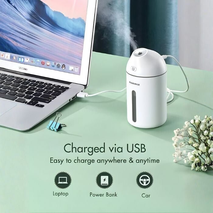 Homasy Hordozható Mini Párásító, 320 ml - es (Fehér) - BShopyX001BGRVQB_3