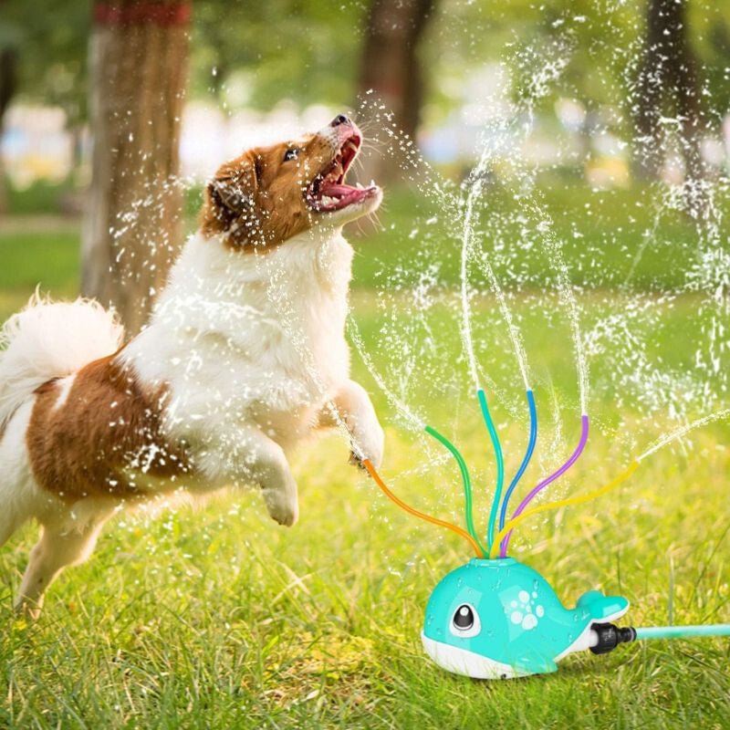 Kültéri Bálna Vízspriccelő Kertijáték Gyerekeknek, Vizes Játék - 3 éves Kortól - BShopyX0019YCKL1_1